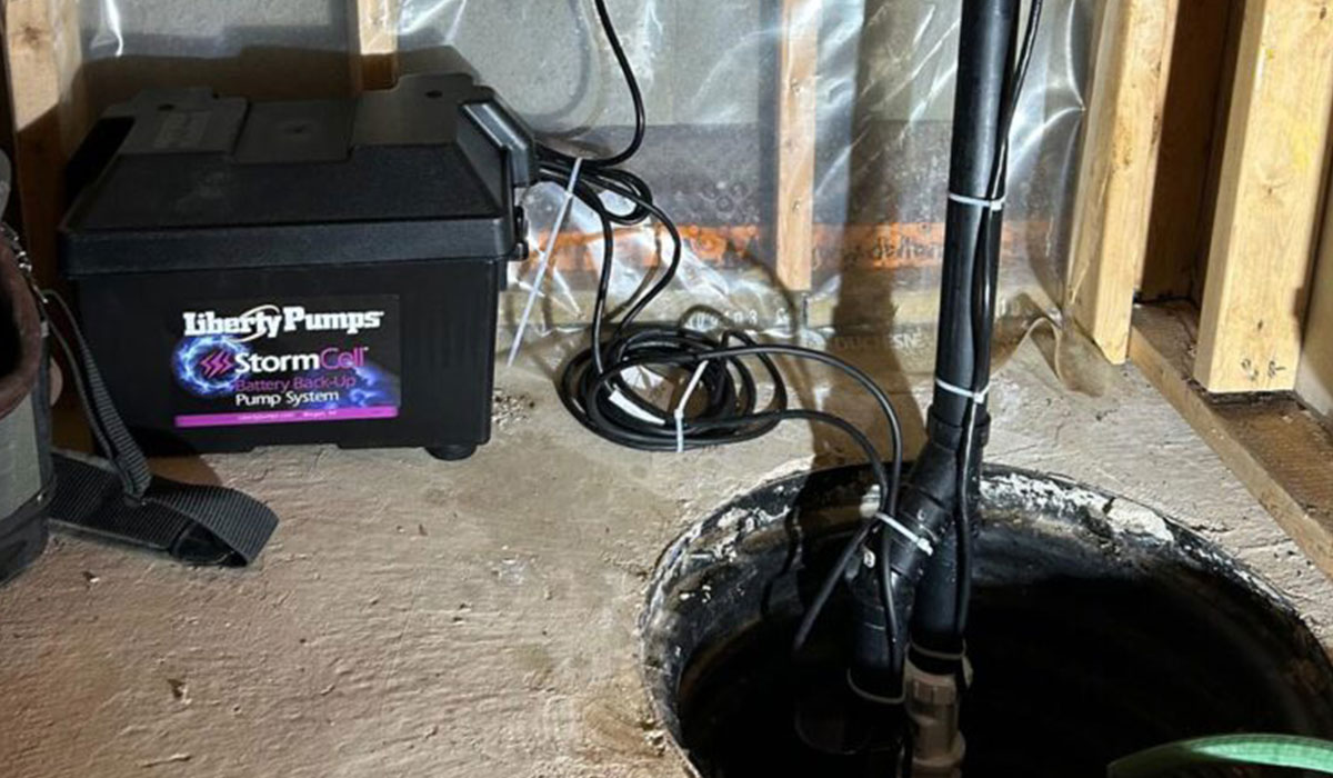 battery backup sump pump
