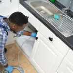 plumber kitchen sink snake